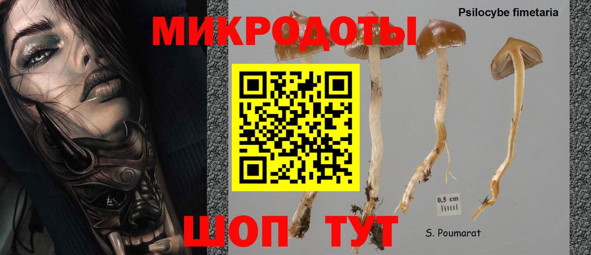 Галлюциногенные грибы мухоморы Ипатово